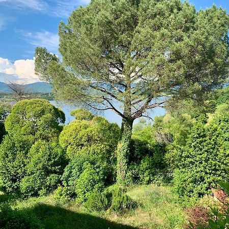 Villa del lago Barberino di Mugello Exterior foto